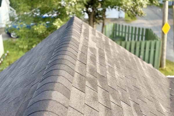 Expert Asphalt Shingle Roof Repair and Installation Solutions
