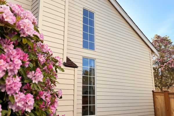 Learn More About Siding
